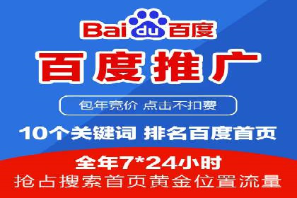 SEM广告创意与优化：成功案例分享